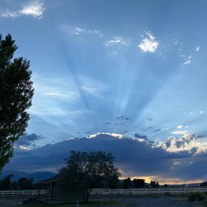 Tranquility (Trap Instrumental) (Instrumental) (Instrumental)