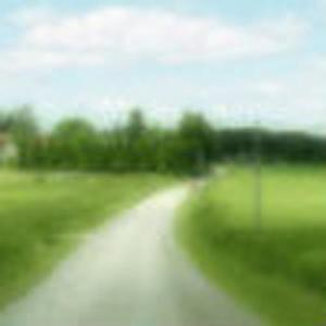 牛奶面包（翻自 杨紫）