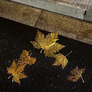 说谎(cover 林宥嘉)