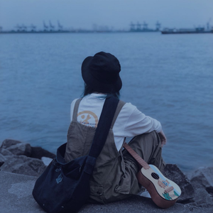 张婧懿-大乌小乌(Remix)