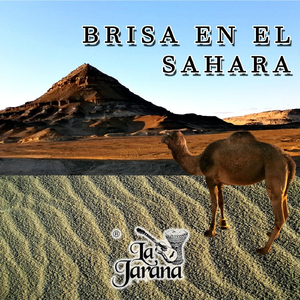 Brisa en el Sahara