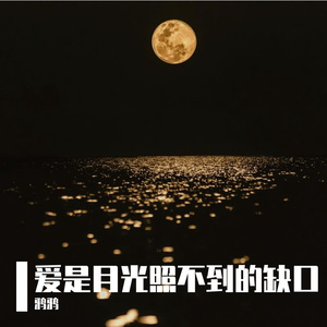 爱是月光照不到的缺口