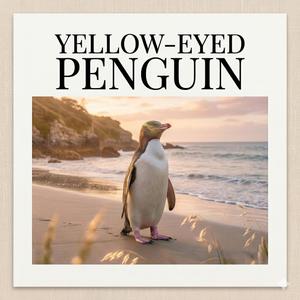 Yellow-eyed penguin