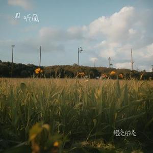 褪色胶卷