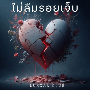 ไม่ลืมรอยเจ็บ