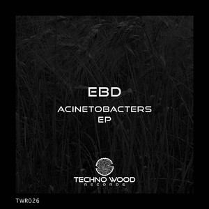 Albensis (Original Mix)