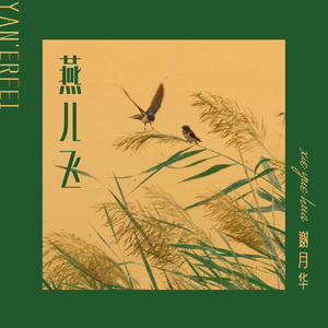 燕儿飞