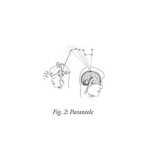 Walking is a Part-time job