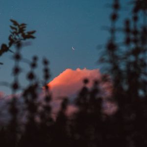 【FREE】"LOFI BEAT " 秋叶源