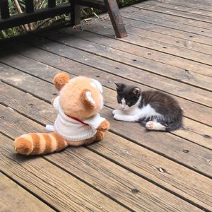 打败无聊怪！ 伴奏