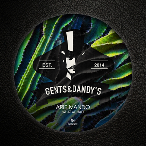 What We Had (Chujo Remix)