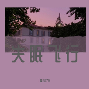 失眠飞行