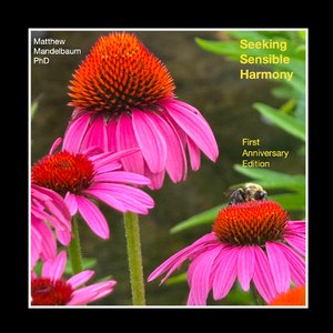 Seeking Sensible Harmony -- First Anniversary Edition