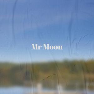 Mr Moon