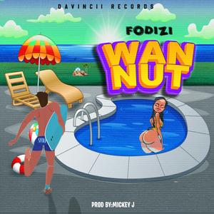 WAN NUT (feat. Soundboy Rona & MJ 1000)