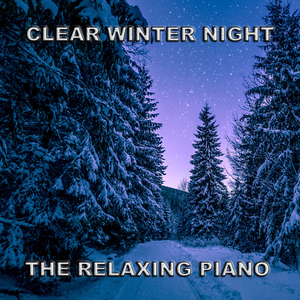 Clear Winter Night