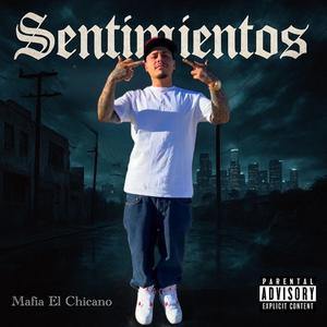 Sentimientos
