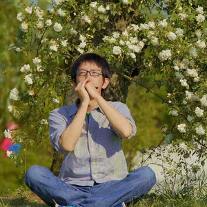 梦里花落知多少