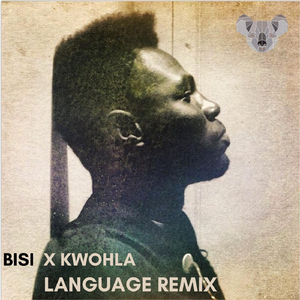 Language (Remix)