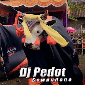 Dj Pedot Sewandono