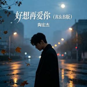 好想再爱你 (R&B版)