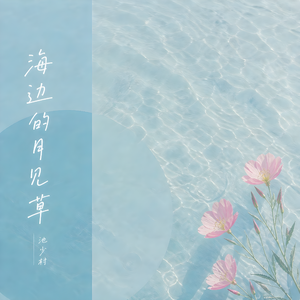 海边的月见草