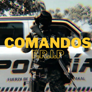 COMANDOS F.R.I.P