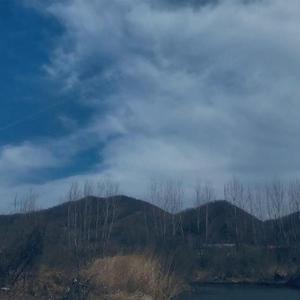 致初中（Prod by WayneD)