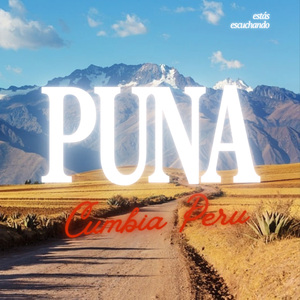 PUNA