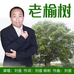 老榆树