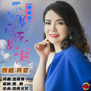 不知是雨还是泪 (DJ晓朋版)