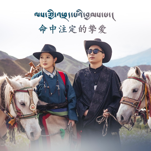 命中注定的挚爱