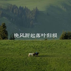 晚风渐起落叶归根