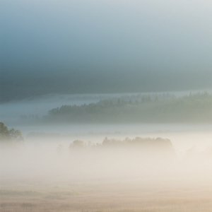 Masih Belum Ada Kepastian