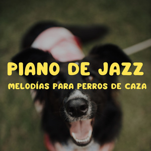 Sinfonía De Pelota De Pelo