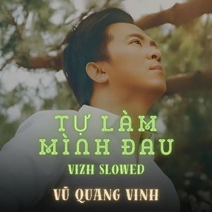 Tự Làm Mình Đau (Vizh Slowed)