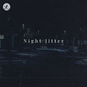 Night Jitter