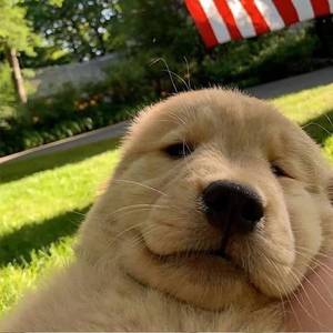 당신의 목소리를 들려주셈