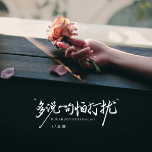 多说一句怕打扰