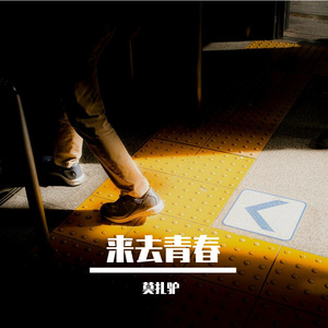 来去青春