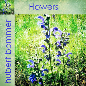 You Are Like a Flower