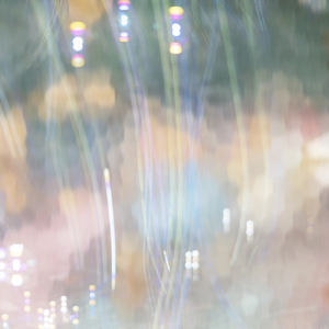 ワンダーランドを夢見てる