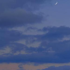 爱你（翻自 王心凌）