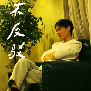 不反驳