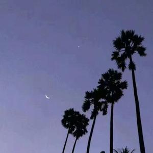 why are good dreams always dreams