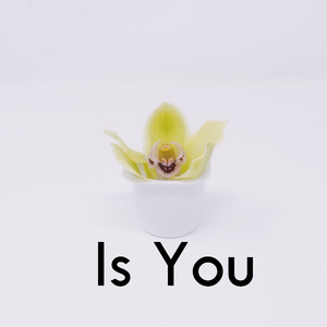 Is You