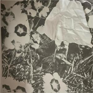 cigarette burns (feat. spookybands)