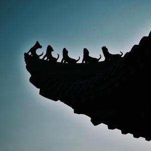 中国加油！武汉加油！