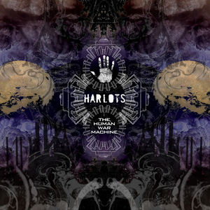 Full Body Contortion