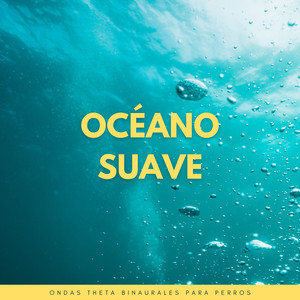 Éxtasis Binaural De Playa Para Perros
